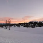 Alpenhotel Steirerhof Hotel Tauplitzalm