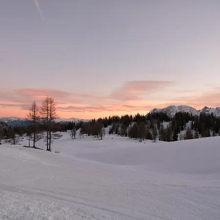 Alpenhotel Steirerhof Hotel Tauplitzalm