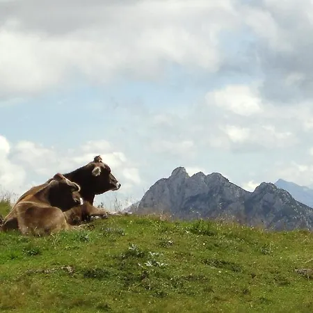 Alpenhotel Steirerhof