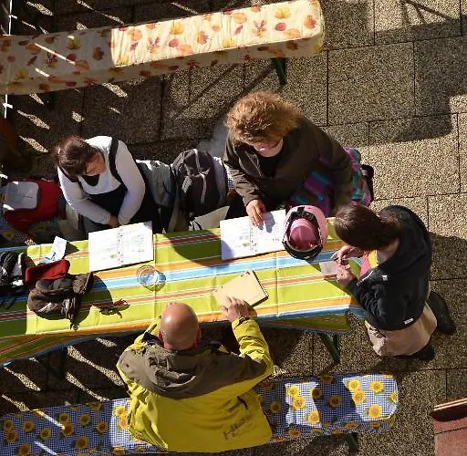 Hotel Alpenhotel Steirerhof