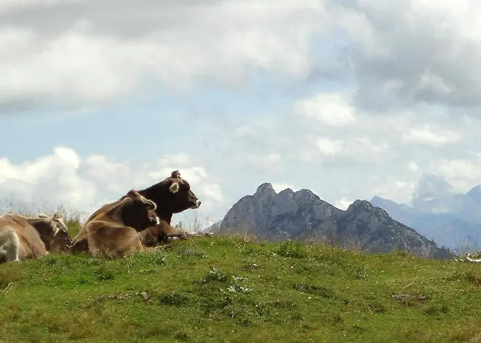 Alpenhotel Steirerhof